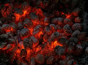 High-Temperature Combustion